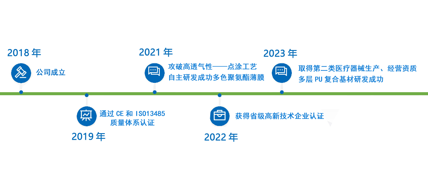 广东壬楠贸易有限公司，历史沿革、业务概览与未来展望