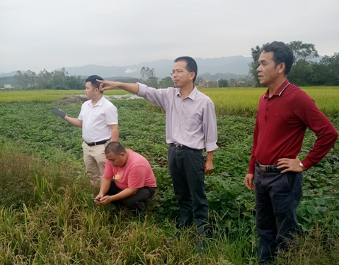 广东省红峰农场陈俊，农垦事业的杰出代表与时代先锋