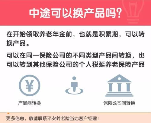 社保养老险一个月多少钱，深度解析与全面理解