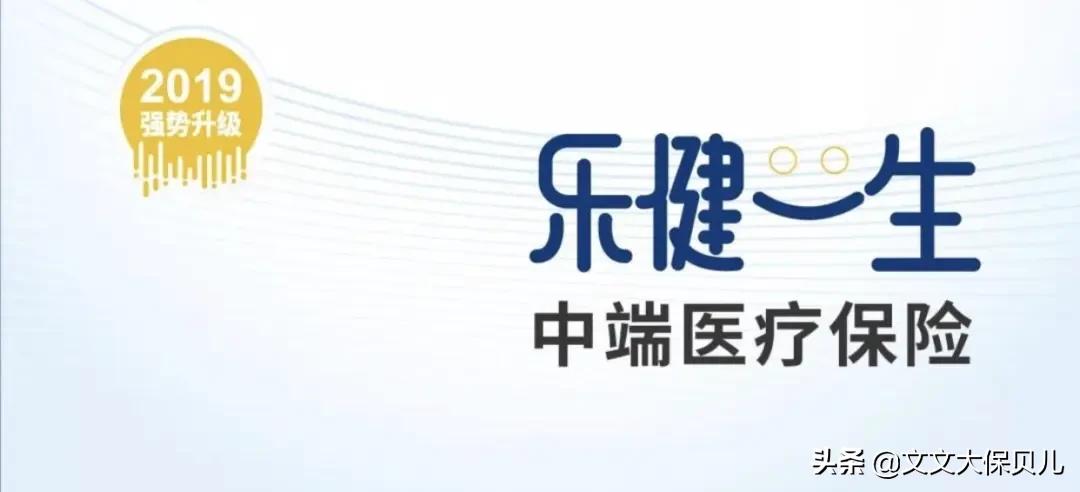 社保每个月能拿多少钱，深度解析与实例展示