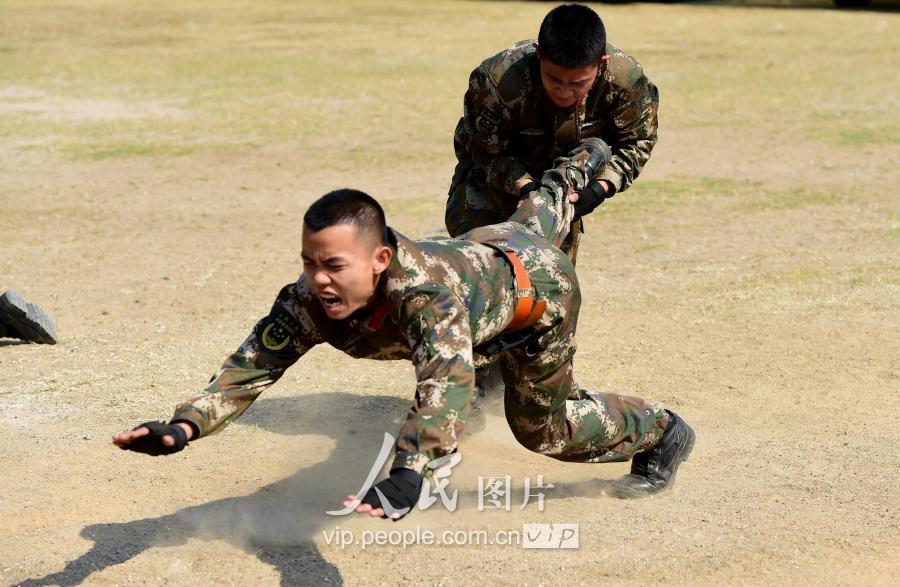 广东省特种检测厂，卓越的专业检测服务引领行业先锋