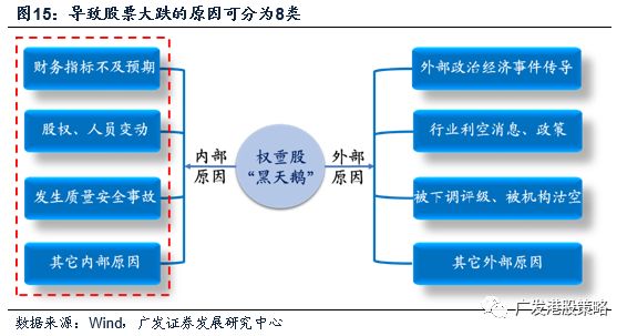 广东长虹工贸有限公司，历史沿革、业务布局与未来展望